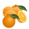 5 Kg Tafelorangen | Noelia Orangen Aus Spanien Naturbelassen | Direkt Vom Erzeuger
